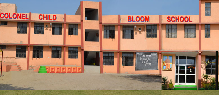 Colonel Child Bloom School — Najafgarh campus cover photo